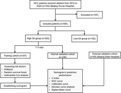 Prognostic model for predicting recurrence in hepatocellular carcinoma patients with high systemic immune-inflammation index based on machine learning in a multicenter study